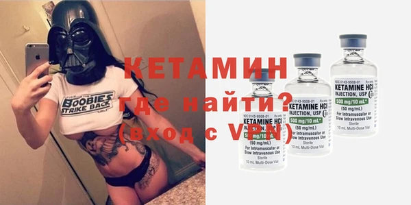 шишки Дмитровск