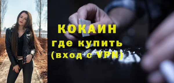 мет Дмитров