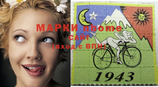 шишки Дмитровск