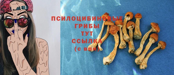 метадон Гусиноозёрск