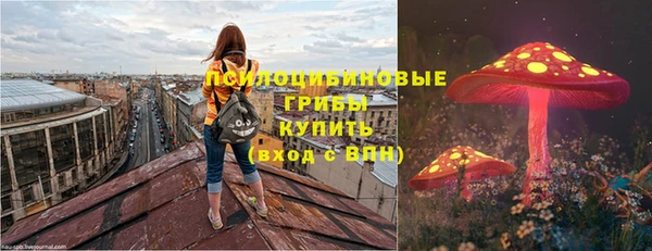 мескалин Дмитриев