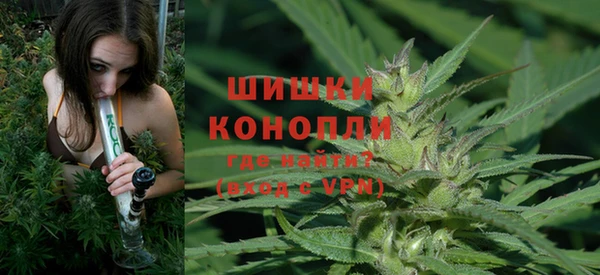 шишки Дмитровск