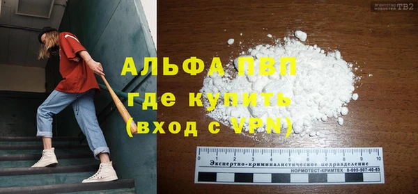 шишки Дмитровск