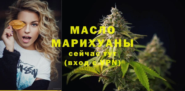 мет Дмитров