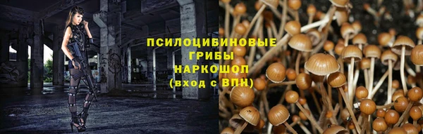 мескалин Дмитриев